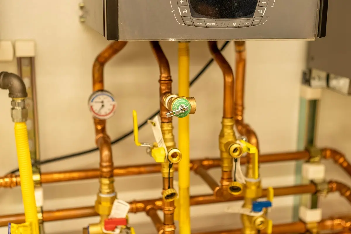 Licensed technician providing Sump Pump Repair for a homeowner in Ferndale